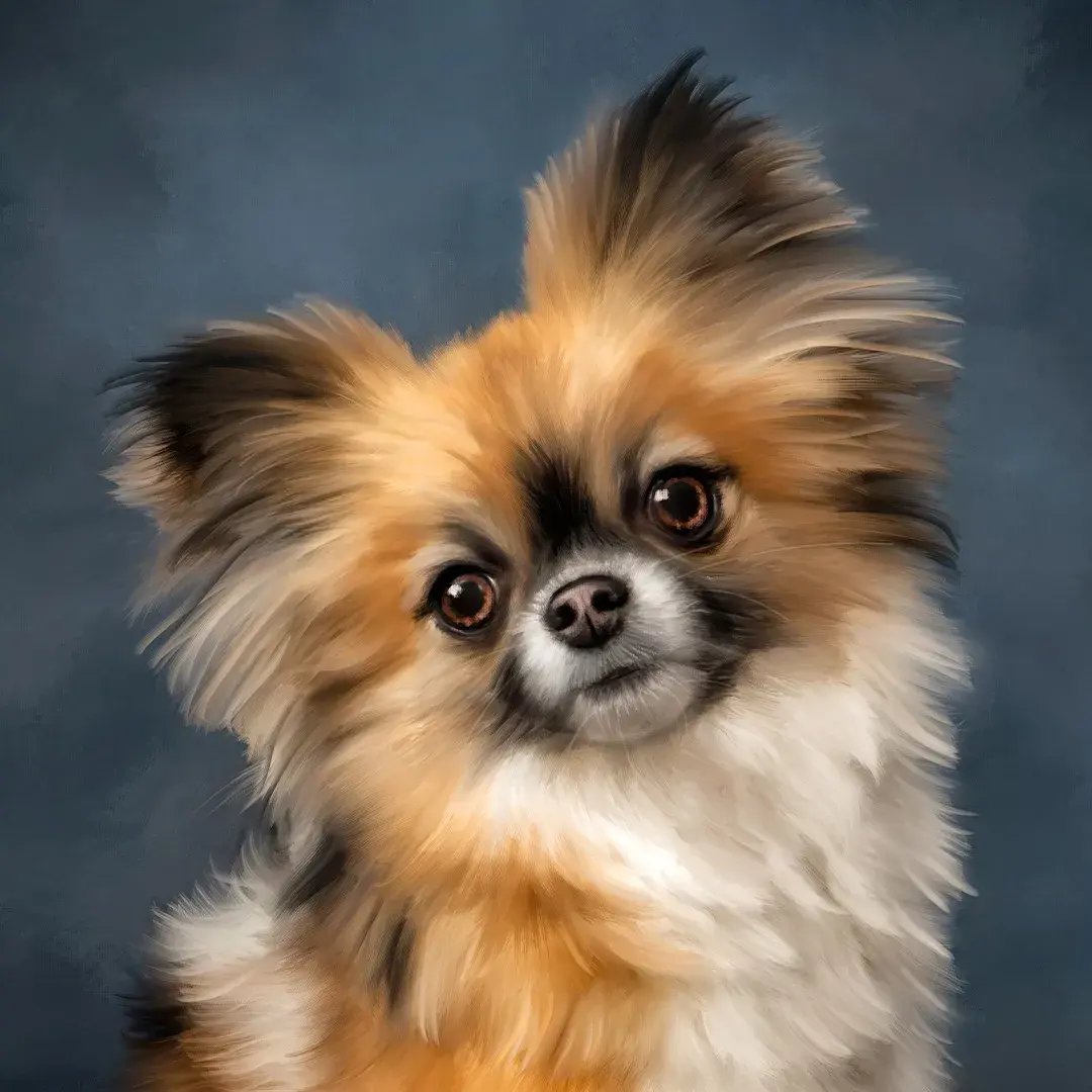 Pets photographed by Bluebird Portraits